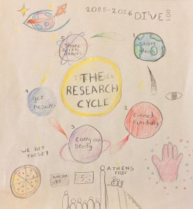 drawing of the research cycle
